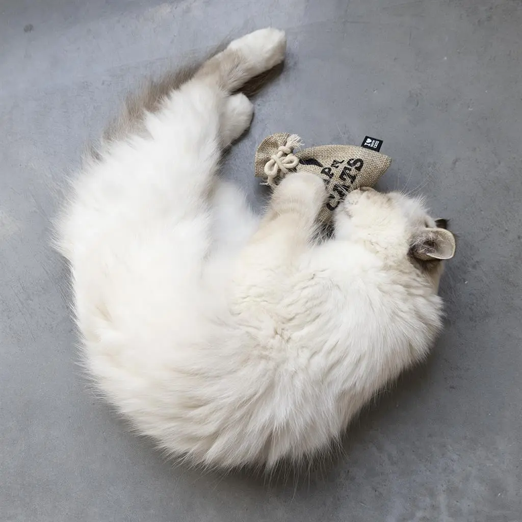 HappyCat Pouch med catnip